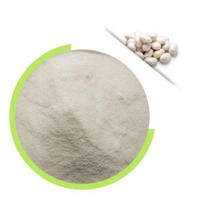 White Kidney Bean Extract love-biochemical